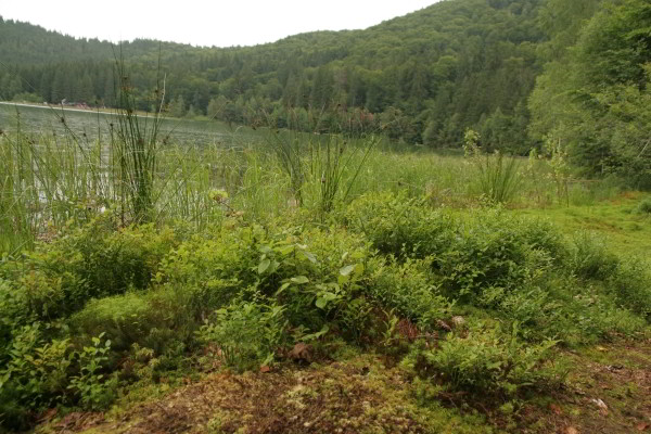 Lacu Ana, ein Kratersee