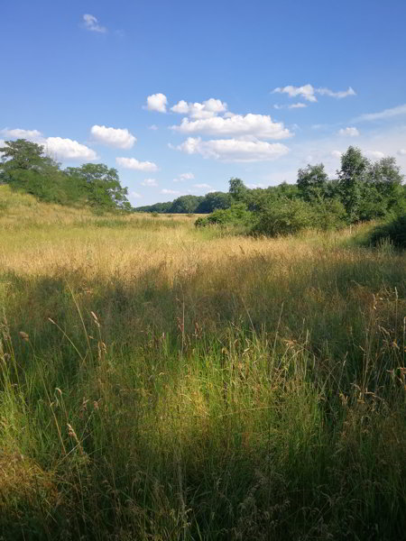 Saaleradweg Saaleradweg