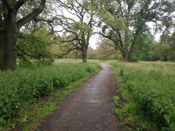 Saaleradweg Saaleradweg