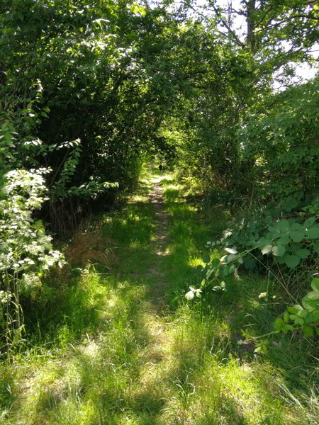 Saaleradweg Saaleradweg