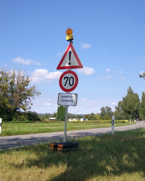 am Boodensee am Boodensee