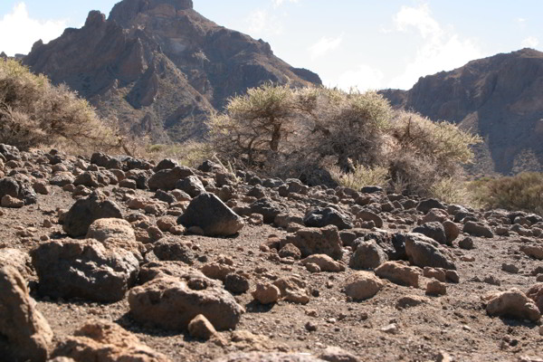 Campinplatz Chío Wanderung von Campare de Chio in Teneriffa