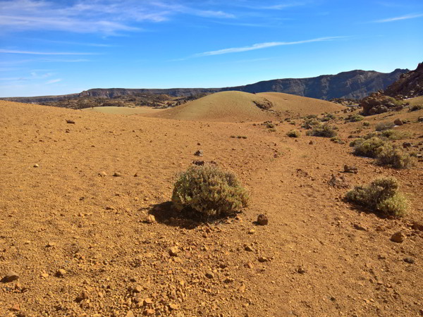 Wanderung am Teide in Teneriffa