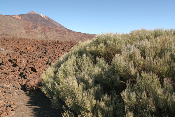 Wanderung in der Caldera Wanderung Caldera in Teneriffa