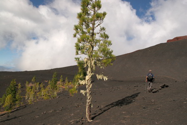 Montana Negra in Teneriffa