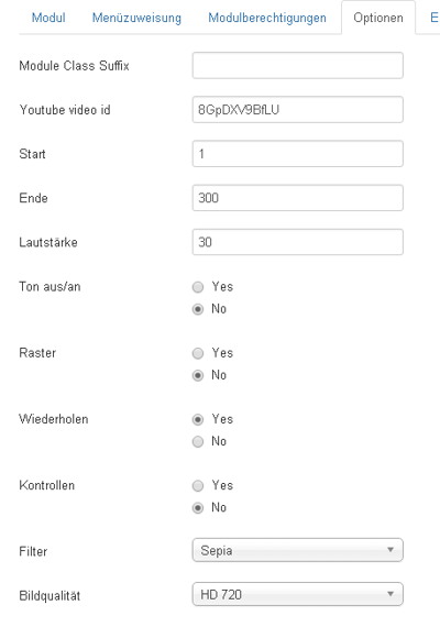 Optionen für Hintergrund Video Joomla